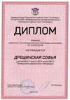 2022-2023_Дрещинская Софья_7б_(РЭ технология)